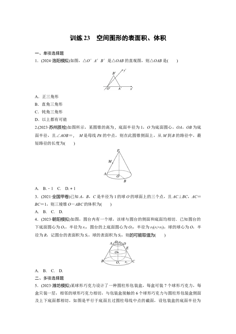 训练23　空间图形的表面积、体积_2.2025数学总复习_2025年新高考资料_一轮复习_2025高考大一轮复习讲义+课件（完结）_2025高考大一轮复习数学（苏教版）_学生用书Word版文档_午练