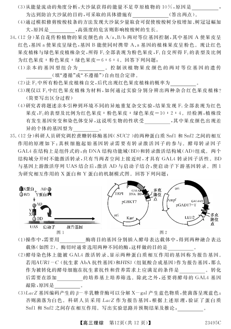 23495C-理综公众号：一枚试卷君_05高考化学_高考模拟题_新高考_2023山西省怀仁市第一中学校高三第二次模拟考试（23495C）理综
