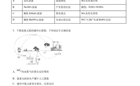 专题06常见非金属及化合物-2019年高考化学易错题汇总（原卷版）_05高考化学_新高考复习资料_2022年新高考资料_2022年一轮复习各版本_1.高考化学2022年一轮复习通用版_原卷版