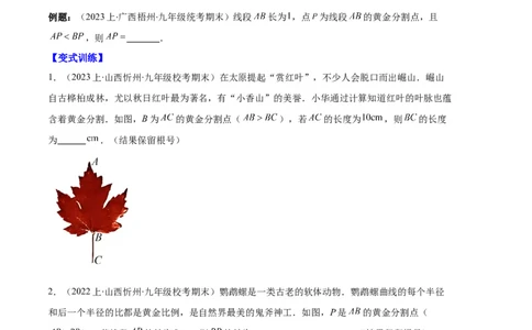 专题13图形相似、相似三角形与位似作图及性质之十大题型（原卷版）_初中数学人教版_9上-初中数学人教版_06习题试卷_7期中期末复习专题