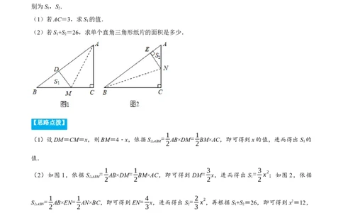 专题13.2几何图形中的翻折变换（压轴题专项讲练）（人教版）（解析版）_初中数学人教版_8上-初中数学人教版_旧版_07专项讲练_八年级数学上册从重点到压轴（人教版）
