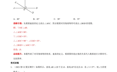 专题1与垂线有关的计算与证明（解析版）_初中数学人教版_7下-初中数学人教版_7下-初中数学人教版（旧版）赠送_07专项讲练_专题1与垂线有关的计算与证明2023专题提优