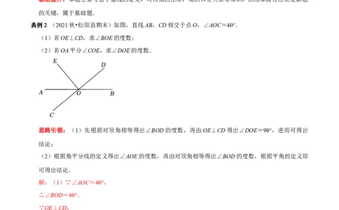 专题1与垂线有关的计算与证明（解析版）_初中数学人教版_7下-初中数学人教版_7下-初中数学人教版（旧版）赠送_07专项讲练_专题1与垂线有关的计算与证明2023专题提优