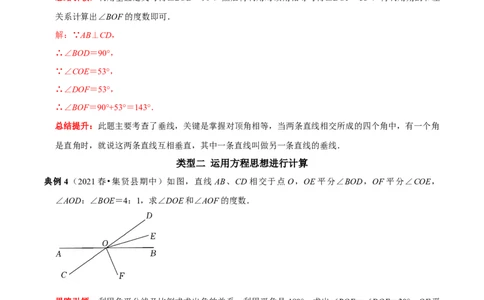 专题1与垂线有关的计算与证明（解析版）_初中数学人教版_7下-初中数学人教版_7下-初中数学人教版（旧版）赠送_07专项讲练_专题1与垂线有关的计算与证明2023专题提优