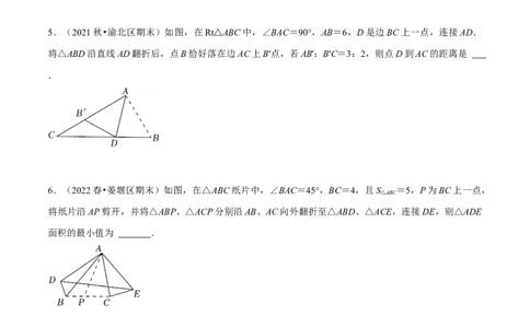 专题13.2几何图形中的翻折变换（压轴题专项讲练）（人教版）（原卷版）_初中数学人教版_8上-初中数学人教版_旧版_07专项讲练_八年级数学上册从重点到压轴（人教版）