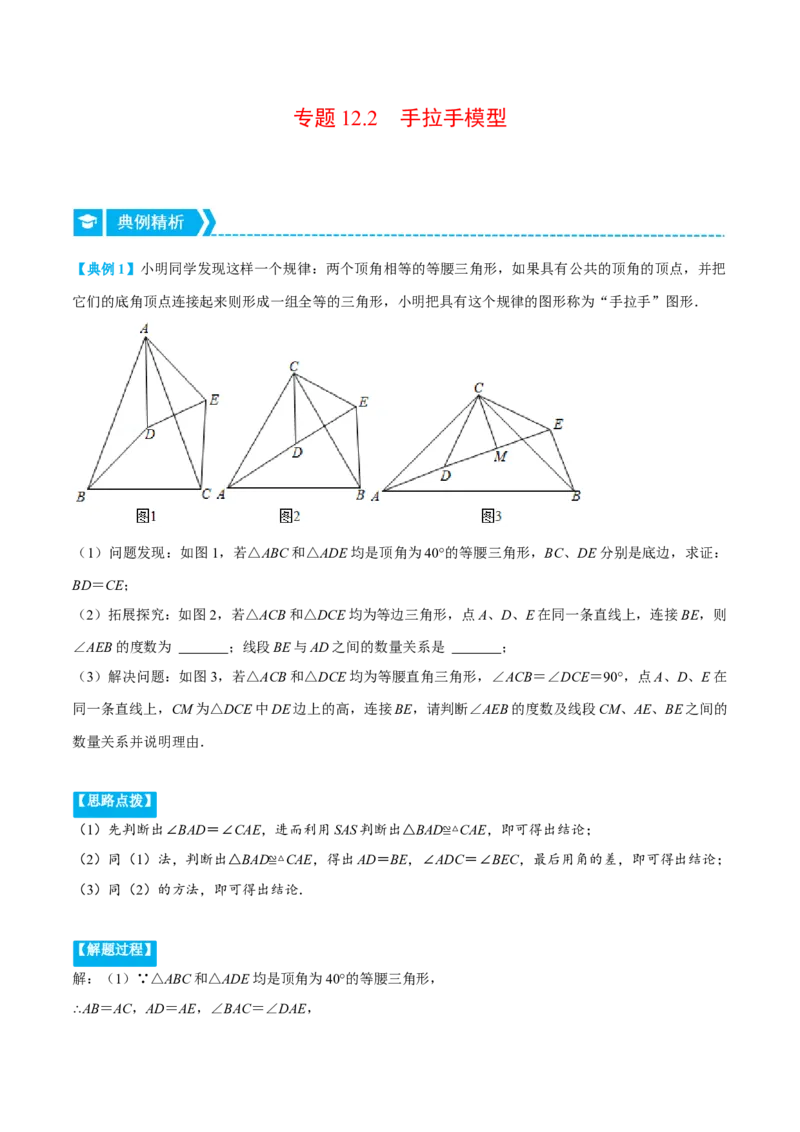 专题12.2手拉手模型（重点题专项讲练）（人教版）（解析版）_初中数学人教版_8上-初中数学人教版_旧版_07专项讲练_八年级数学上册从重点到压轴（人教版）