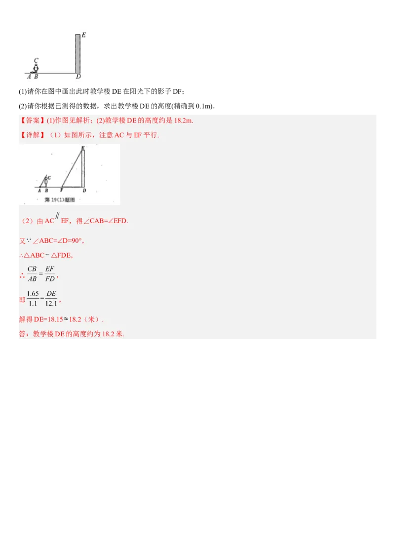 专题29.1投影（解析版）_初中数学人教版_9下-初中数学人教版_07专项讲练_2022-2023学年九年级数学下册重点题型讲练测（人教版）