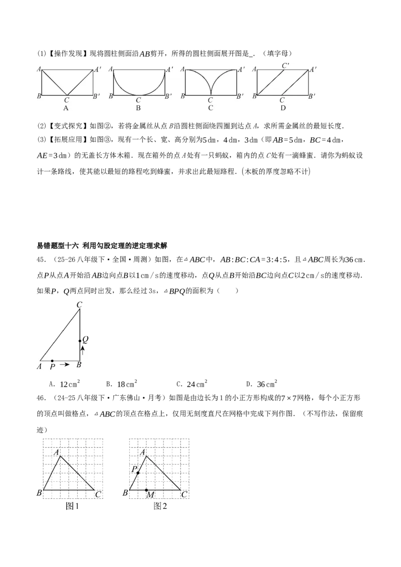 专题20.5勾股定理（十八大易错题题型训练共52题）原卷版_初中数学人教版_八年级数学下册_保存转存之后查看(1)_2026春季新版-持续更新中_第二套-知_08讲义练习