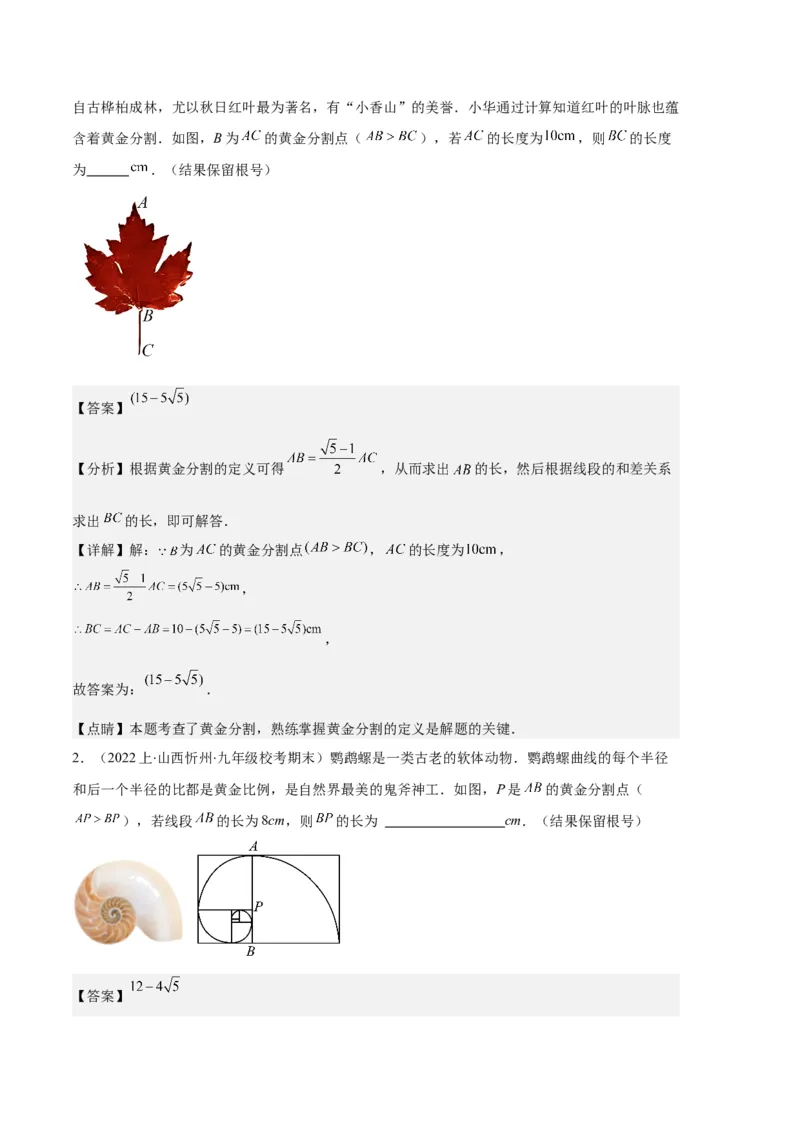 专题13图形相似、相似三角形与位似作图及性质之十大题型（解析版）_初中数学人教版_9上-初中数学人教版_06习题试卷_7期中期末复习专题