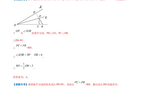专题09含30&deg;角的直角三角形（解析版）_初中数学人教版_8上-初中数学人教版_旧版_07专项讲练_挑战压轴题八年级数学上册压轴题专题精选汇编（人教版）