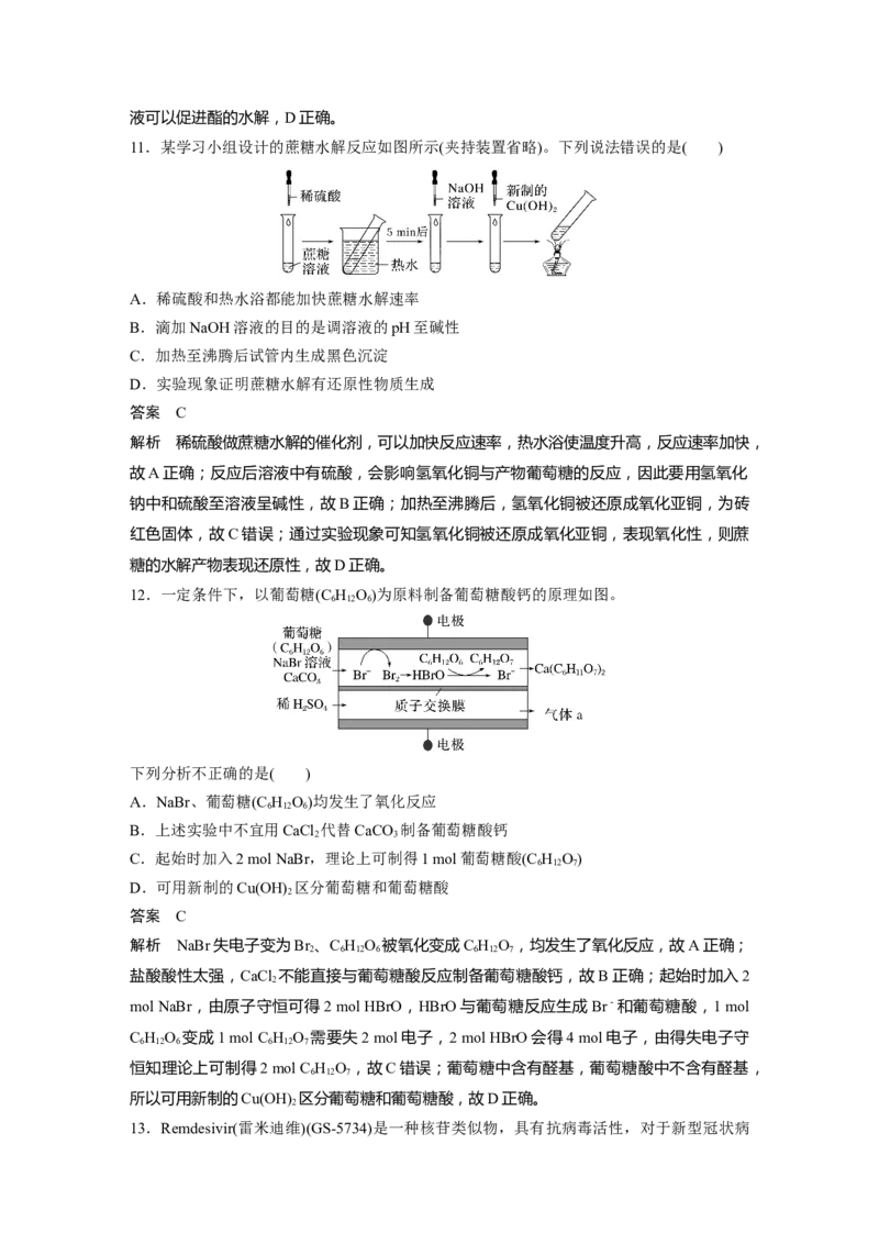 2024年高考化学一轮复习（新高考版）第10章第65讲　油脂　生物大分子_05高考化学_2024年新高考资料_1.2024一轮复习_2024年高考化学一轮复习讲义（新人教新高考版）