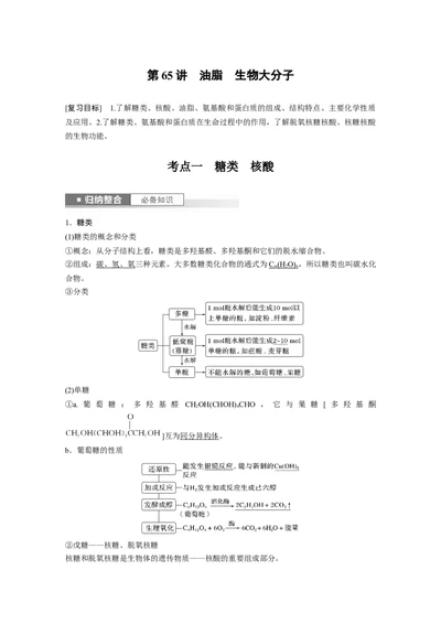 2024年高考化学一轮复习（新高考版）第10章第65讲　油脂　生物大分子_05高考化学_2024年新高考资料_1.2024一轮复习_2024年高考化学一轮复习讲义（新人教新高考版）