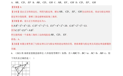 专题17.4勾股定理与网格问题专项提升训练（重难点培优30题）-拔尖特训2023年培优（解析版）人教版_初中数学人教版_八年级数学下册_保存转存之后查看(1)_旧版-可参考_07专项讲练