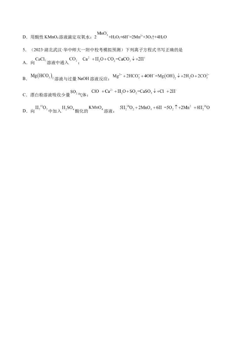 专题03离子反应（讲义）（原卷版）_05高考化学_新高考复习资料_2024年新高考资料_二轮复习资料_高频考点解密2024年高考化学二轮复习高频考点追踪与预测（新高考专用）_讲义