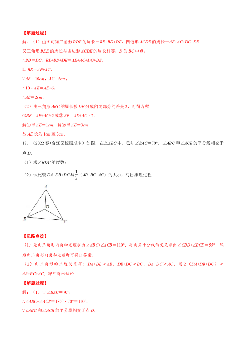 专题11.6三角形（压轴题综合测试卷）（人教版）（解析版）_初中数学人教版_8上-初中数学人教版_旧版_07专项讲练_八年级数学上册从重点到压轴（人教版）