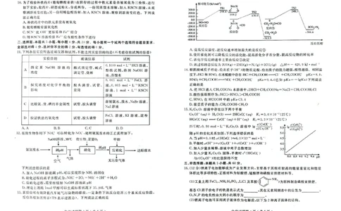 23济宁期末-化学试题_05高考化学_高考模拟题_新高考_山东省济宁市2022-2023学年高三上学期期末化学_山东省济宁市2022-2023学年高三上学期期末化学