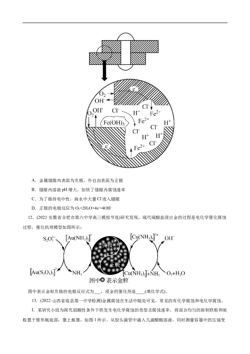 专项24金属的腐蚀与防护（原卷版）_05高考化学_新高考复习资料_2023年新高考资料_专项复习_2023年高考化学热点专项导航与精练（新高考专用）