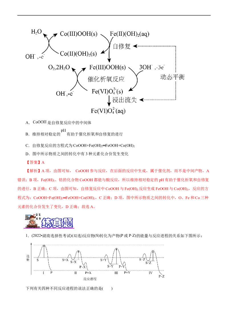 专题10化学反应机理与历程（练）（解析版）_05高考化学_通用版（老高考）复习资料_2023年复习资料_二轮复习_2023年高考化学二轮复习讲练测（全国通用）