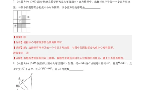 专题10旋转和中心对称（课后小练）-解析版_初中数学人教版_9上-初中数学人教版_07专项讲练_一题三变系列九年级数学上册重要考点题型精讲精练(人教版)