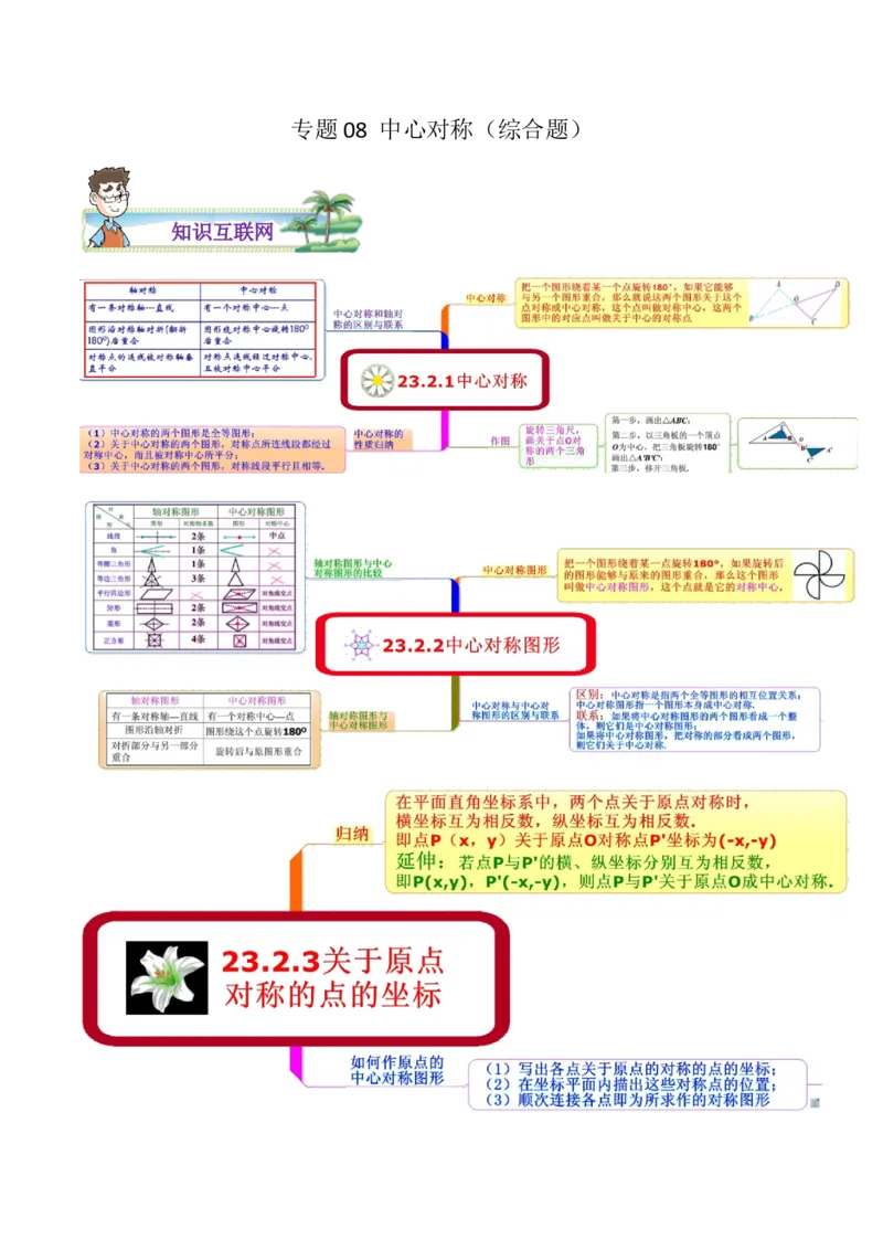 专题08中心对称综合题（解析版）_初中数学人教版_9上-初中数学人教版_07专项讲练_培优方案九年级数学上册章节重点复习考点讲义（人教版）_专题08中心对称综合题
