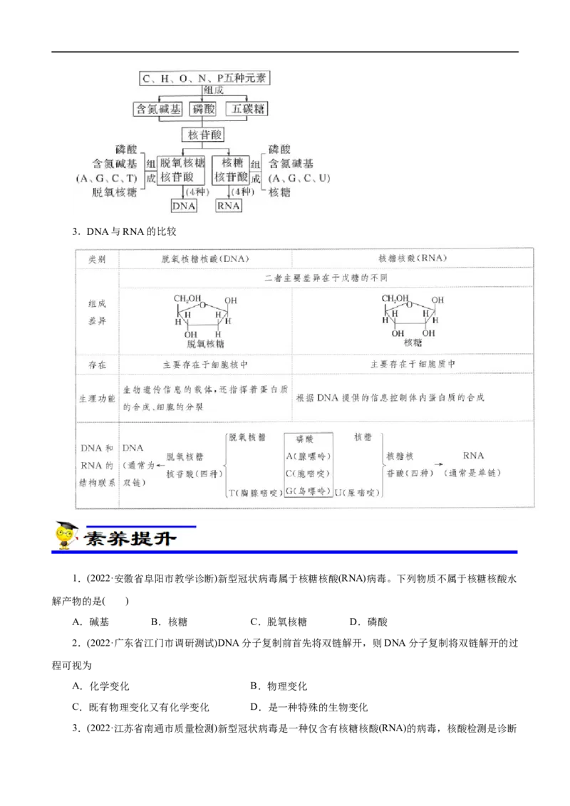 专项47核酸与防疫（原卷版）_05高考化学_新高考复习资料_2023年新高考资料_专项复习_2023年高考化学热点专项导航与精练（新高考专用）