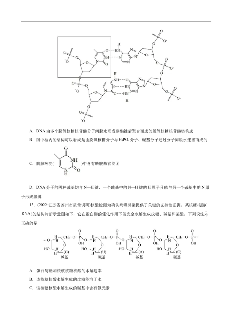 专项47核酸与防疫（原卷版）_05高考化学_新高考复习资料_2023年新高考资料_专项复习_2023年高考化学热点专项导航与精练（新高考专用）