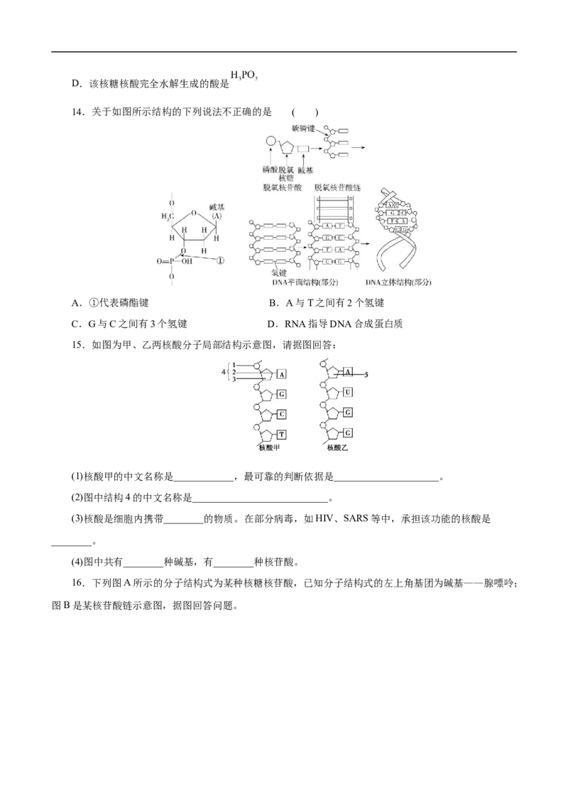 专项47核酸与防疫（原卷版）_05高考化学_新高考复习资料_2023年新高考资料_专项复习_2023年高考化学热点专项导航与精练（新高考专用）