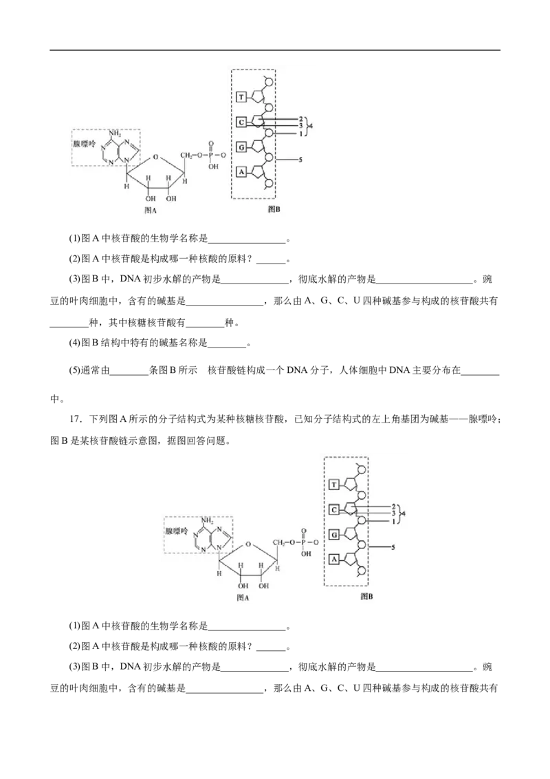 专项47核酸与防疫（原卷版）_05高考化学_新高考复习资料_2023年新高考资料_专项复习_2023年高考化学热点专项导航与精练（新高考专用）