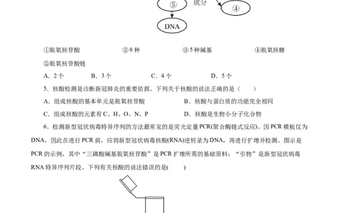 专项47核酸与防疫（原卷版）_05高考化学_新高考复习资料_2023年新高考资料_专项复习_2023年高考化学热点专项导航与精练（新高考专用）