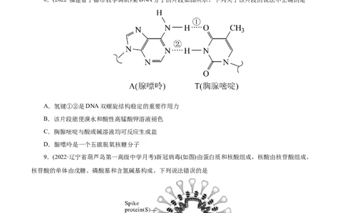 专项47核酸与防疫（原卷版）_05高考化学_新高考复习资料_2023年新高考资料_专项复习_2023年高考化学热点专项导航与精练（新高考专用）