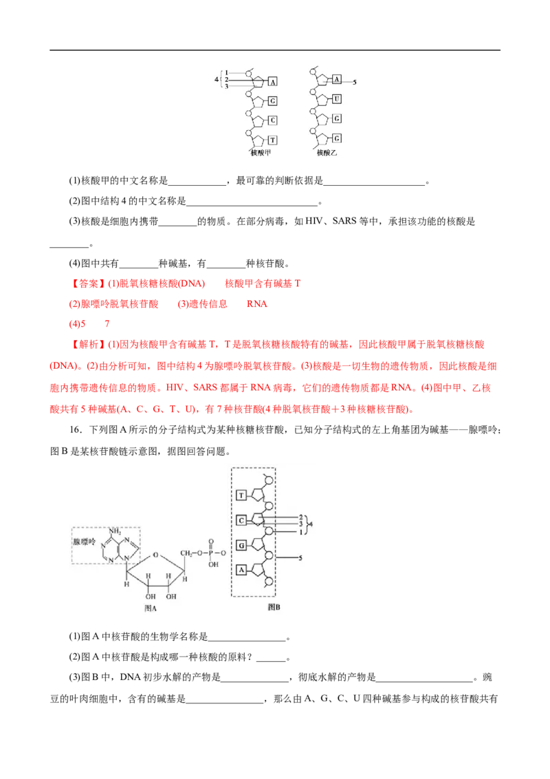 专项47核酸与防疫（解析版）_05高考化学_新高考复习资料_2023年新高考资料_专项复习_2023年高考化学热点专项导航与精练（新高考专用）