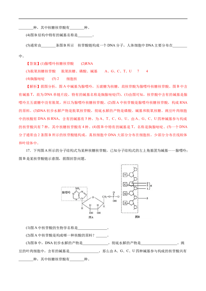 专项47核酸与防疫（解析版）_05高考化学_新高考复习资料_2023年新高考资料_专项复习_2023年高考化学热点专项导航与精练（新高考专用）