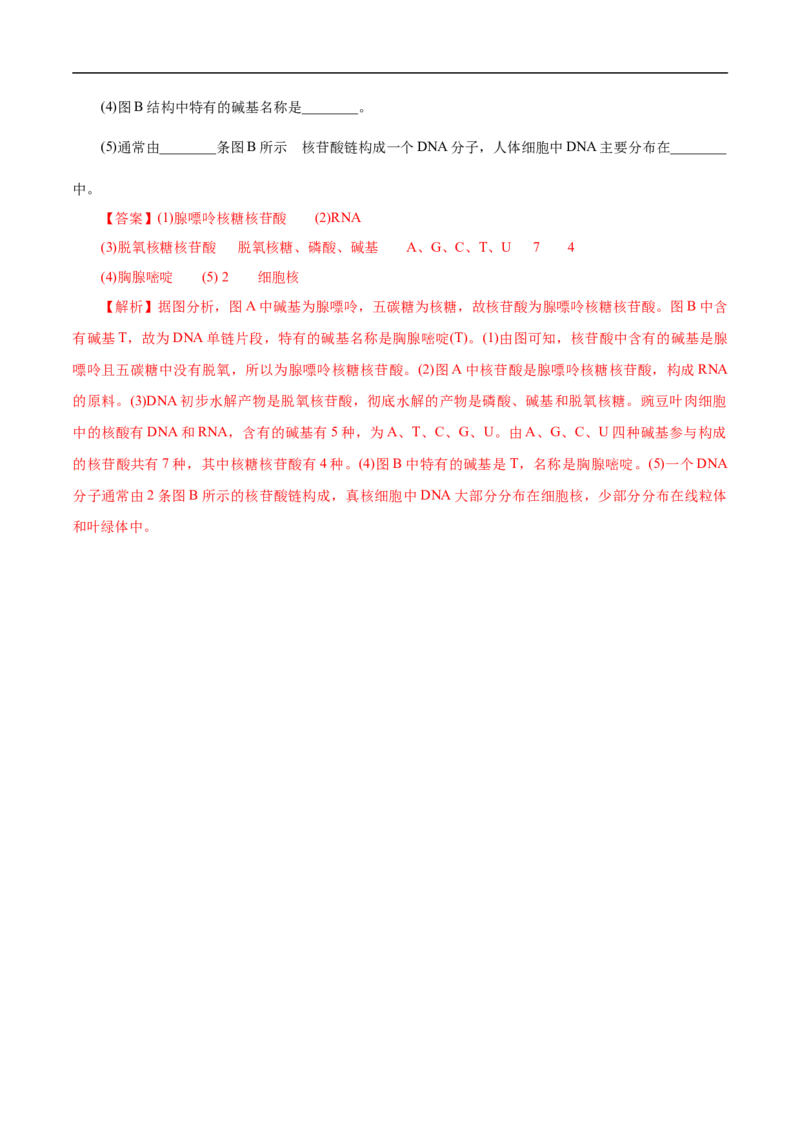 专项47核酸与防疫（解析版）_05高考化学_新高考复习资料_2023年新高考资料_专项复习_2023年高考化学热点专项导航与精练（新高考专用）