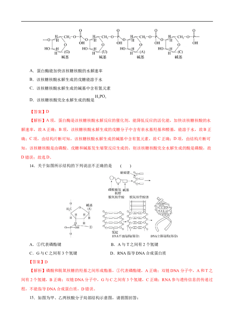 专项47核酸与防疫（解析版）_05高考化学_新高考复习资料_2023年新高考资料_专项复习_2023年高考化学热点专项导航与精练（新高考专用）
