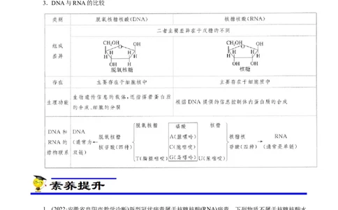专项47核酸与防疫（解析版）_05高考化学_新高考复习资料_2023年新高考资料_专项复习_2023年高考化学热点专项导航与精练（新高考专用）