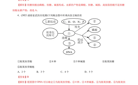 专项47核酸与防疫（解析版）_05高考化学_新高考复习资料_2023年新高考资料_专项复习_2023年高考化学热点专项导航与精练（新高考专用）