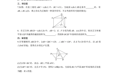 训练26　立体几何中的综合问题_2.2025数学总复习_2025年新高考资料_一轮复习_2025高考大一轮复习讲义+课件（完结）_2025高考大一轮复习数学（苏教版）_学生用书Word版文档_午练