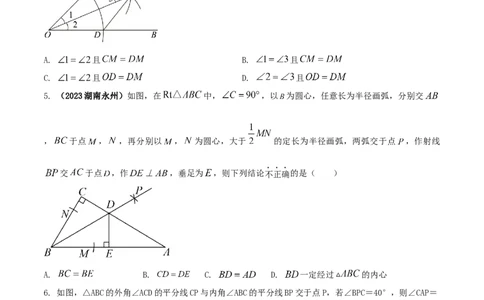 专题06角的平分线性质问题（原卷版）_初中数学人教版_8上-初中数学人教版_旧版_06习题试卷_6期中期末复习专题