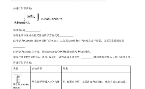 专题18性质探究实验综合-2019年高考化学易错题汇总（原卷版）_05高考化学_新高考复习资料_2022年新高考资料_2022年一轮复习各版本_1.高考化学2022年一轮复习通用版_原卷版