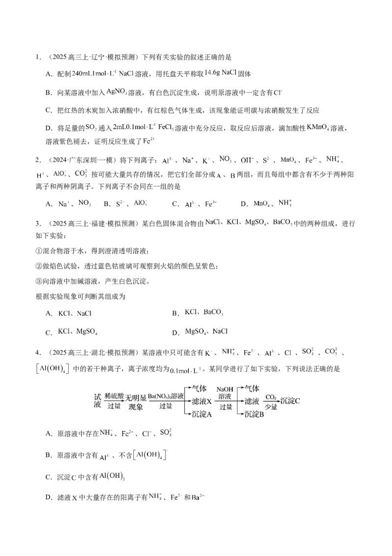 专题03离子共存、离子检验和推断（原卷版）-备战2025年高考化学二轮&middot;突破提升专题复习讲义（新高考通用）_05高考化学_2025年新高考资料_二轮复习_01高考语文等多个文件