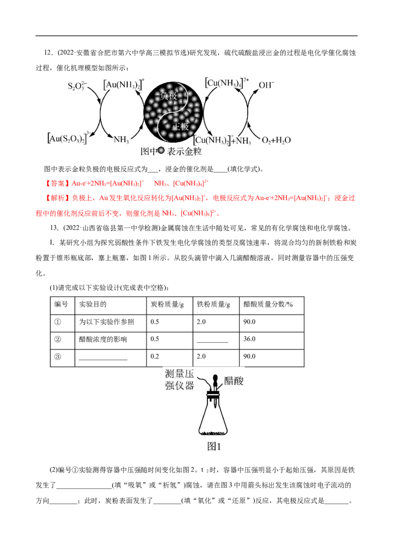 专项24金属的腐蚀与防护（解析版）_05高考化学_新高考复习资料_2023年新高考资料_专项复习_2023年高考化学热点专项导航与精练（新高考专用）