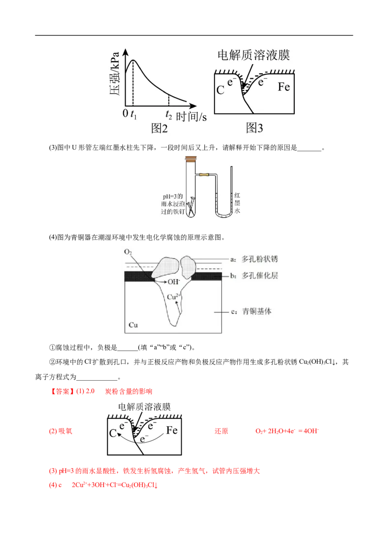 专项24金属的腐蚀与防护（解析版）_05高考化学_新高考复习资料_2023年新高考资料_专项复习_2023年高考化学热点专项导航与精练（新高考专用）