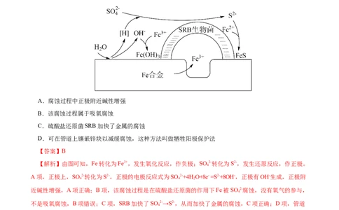 专项24金属的腐蚀与防护（解析版）_05高考化学_新高考复习资料_2023年新高考资料_专项复习_2023年高考化学热点专项导航与精练（新高考专用）