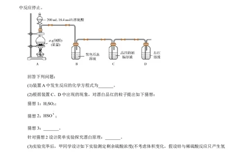 专题14化学实验探究综合题（测）-2023年高考化学二轮复习讲练测（新高考专用）（原卷版）_05高考化学_新高考复习资料_2023年新高考资料_二轮复习