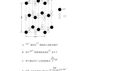 专项训练晶胞正八面体空隙的计算（解析版）_05高考化学_新高考复习资料_2024年新高考资料_一轮复习资料_2024届高三化学一轮复习&mdash;专项训练