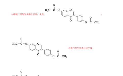 专题18有机化学基础（选修）-2021年高考化学真题与模拟题分类训练（教师版含解析）_05高考化学_新高考复习资料_2023年新高考资料_一轮复习_2023年新高考大一轮复习讲义