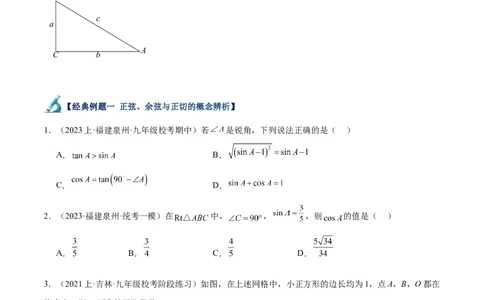 专题11锐角三角函数重难点题型专训（7大题型）（原卷版）_初中数学人教版_9下-初中数学人教版_07专项讲练_2023-2024学年九年级数学全册重难点专题提升精讲精练（人教版）_九年级下册