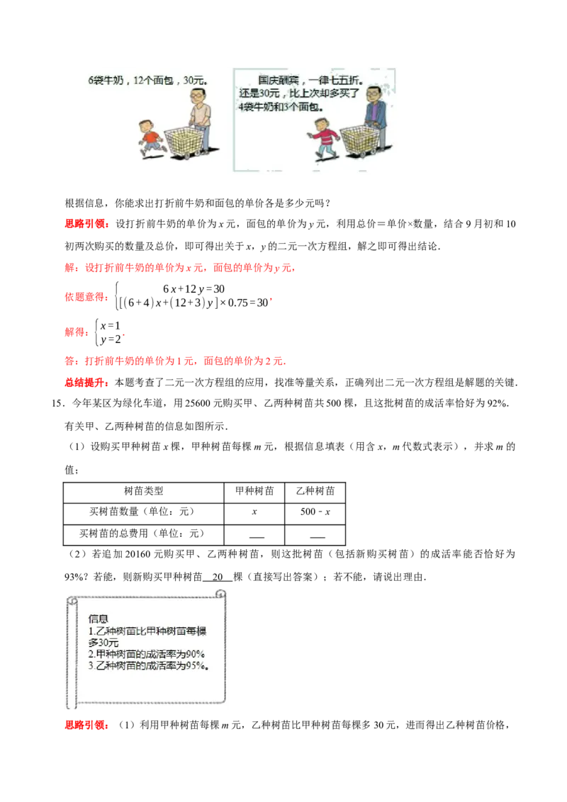 专题13二元一次方程组的实际应用问题分类集训（解析版）_初中数学人教版_7下-初中数学人教版_7下-初中数学人教版（旧版）赠送_07专项讲练