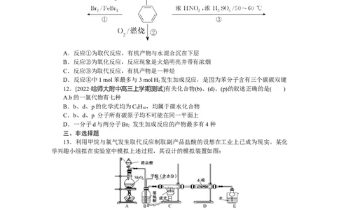 专练45重要的烃与同分异构体_05高考化学_新高考复习资料_2023年新高考资料_专项复习_2023《微专题&middot;小练习》&middot;化学&middot;新教材&middot;XL-6
