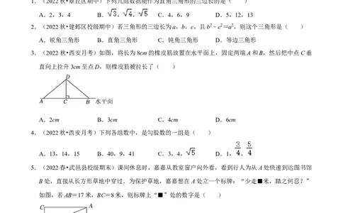 专题17.2勾股定理的逆定理专项提升训练（重难点培优）-拔尖特训2023年培优（原卷版）人教版_初中数学人教版_八年级数学下册_保存转存之后查看(1)_旧版-可参考_07专项讲练